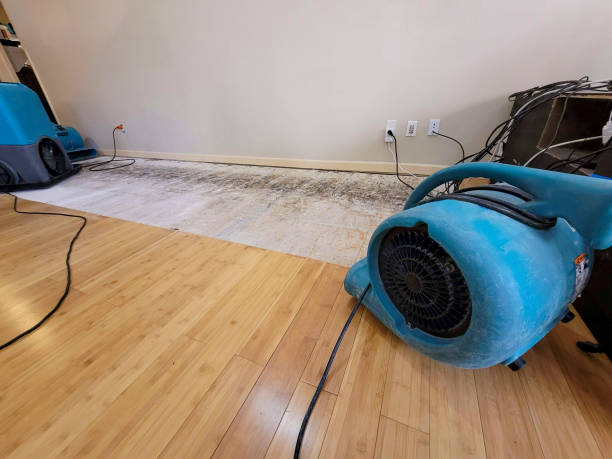 Professional Structural Drying technician working in Naco, AZ